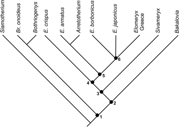 Fig. 6