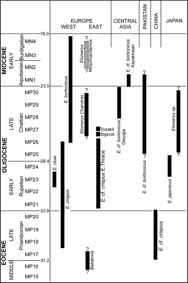 Fig. 7