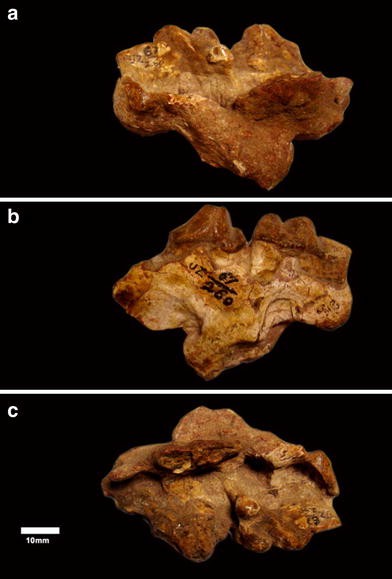 Fig. 2