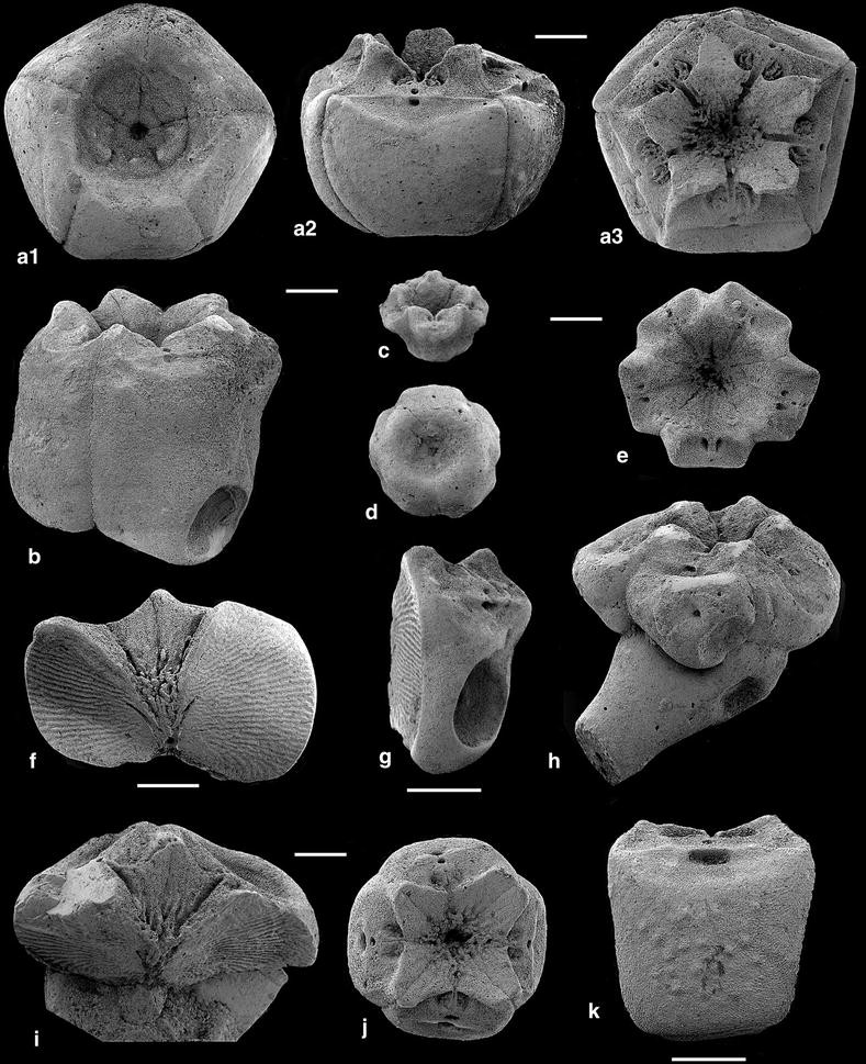 Fig. 14