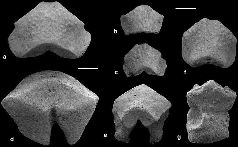 Fig. 25