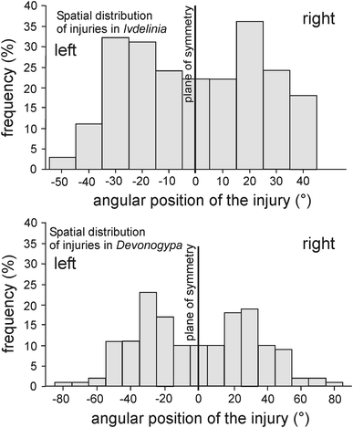 Fig. 13