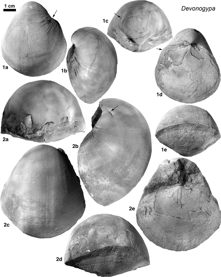 Fig. 4