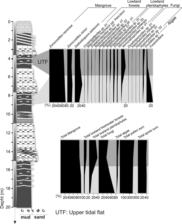 Fig. 4