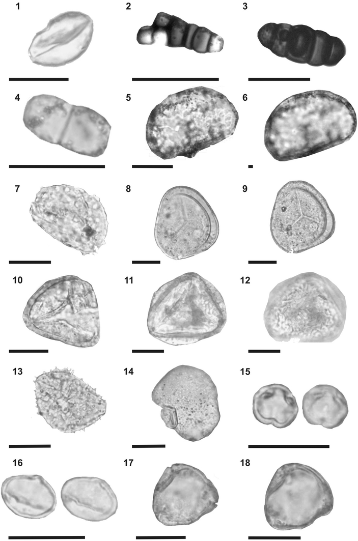 Fig. 5