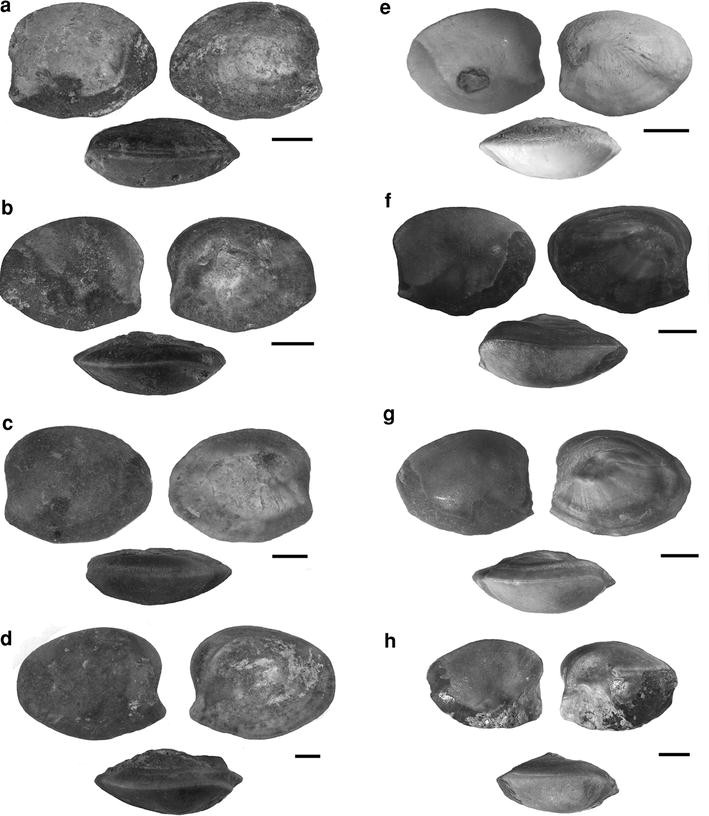 Fig. 10