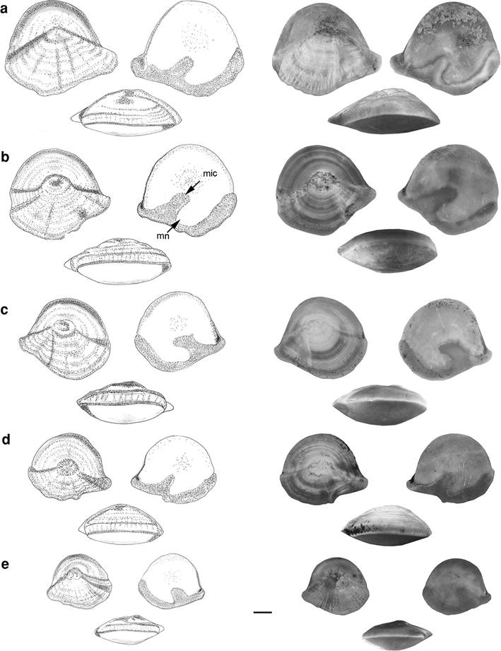 Fig. 11