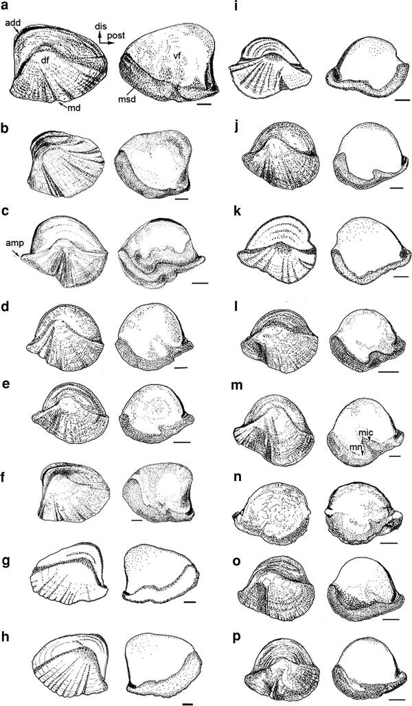 Fig. 13