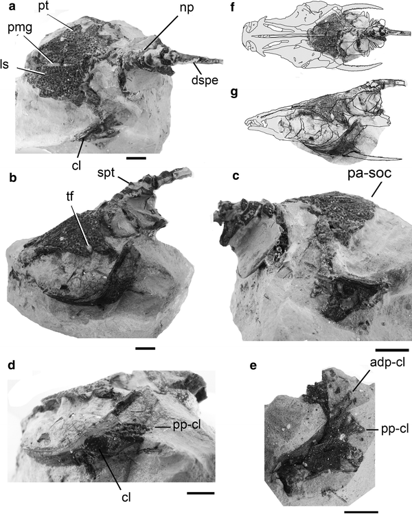 Fig. 4