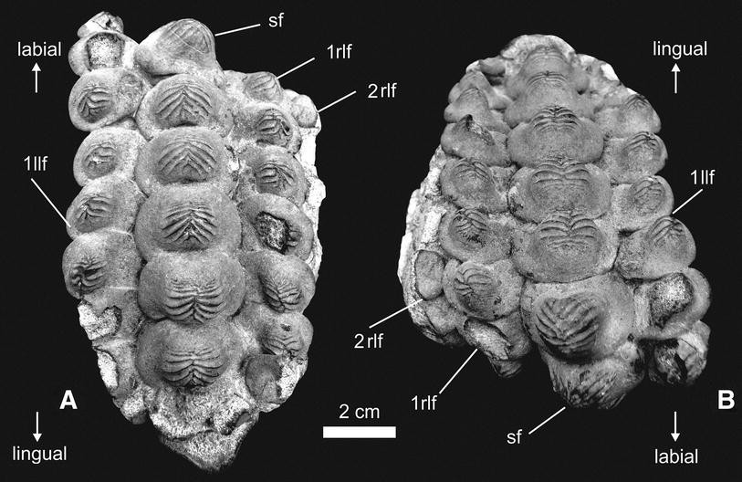 Fig. 2