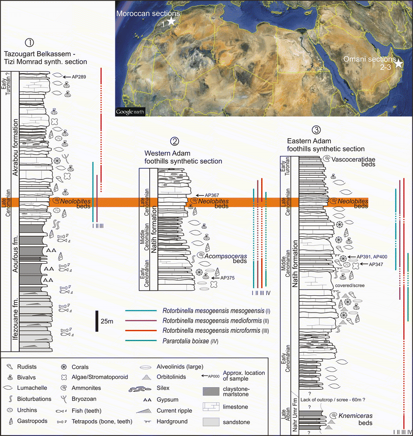 Fig. 1