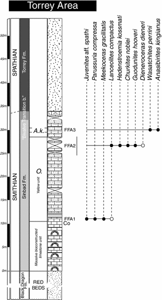 Fig. 10