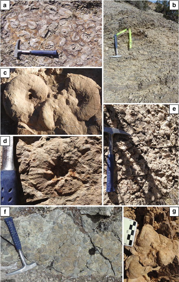 Fig. 13