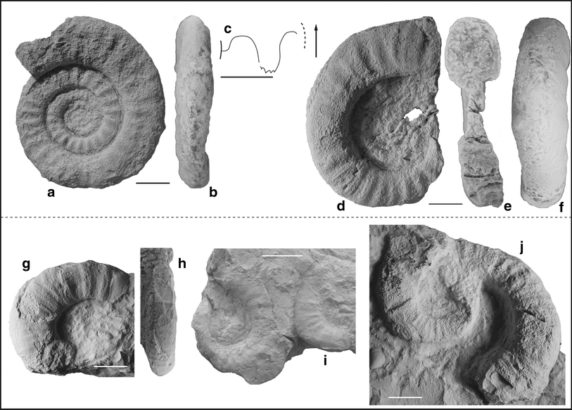 Fig. 23