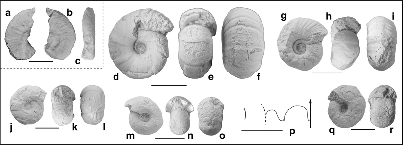 Fig. 24