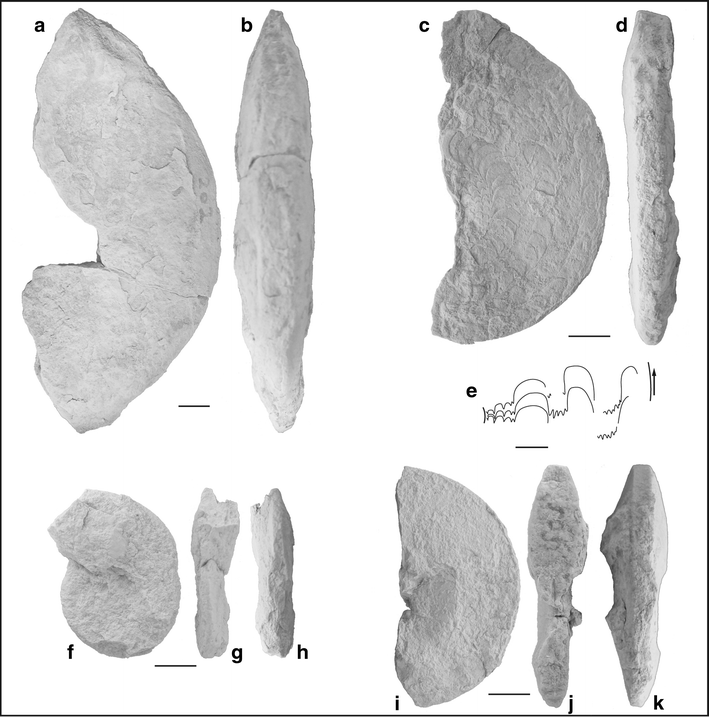 Fig. 31