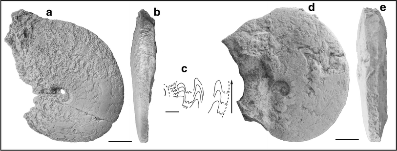 Fig. 33