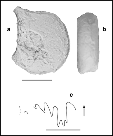 Fig. 35