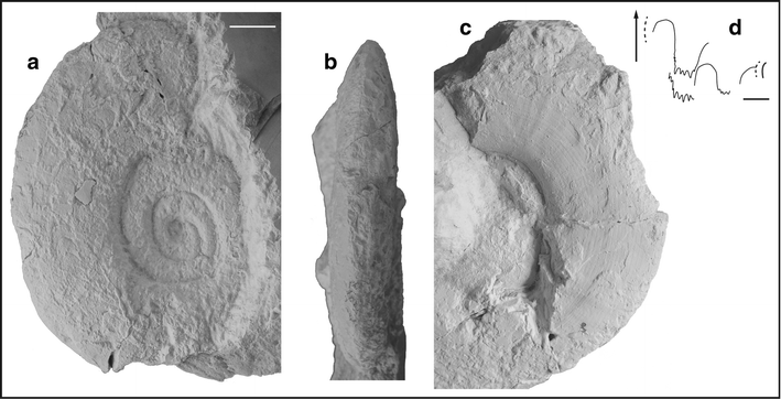 Fig. 39