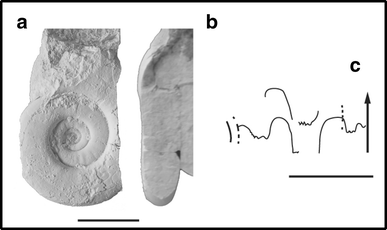 Fig. 40