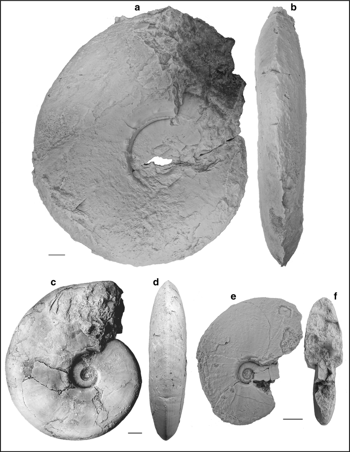 Fig. 42