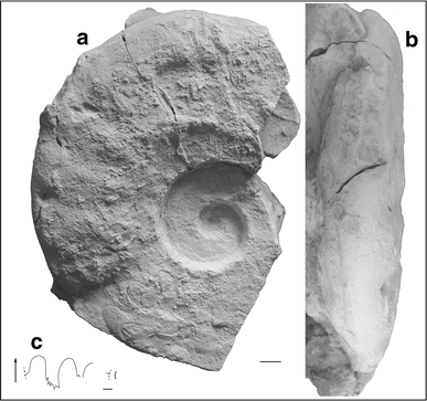 Fig. 45