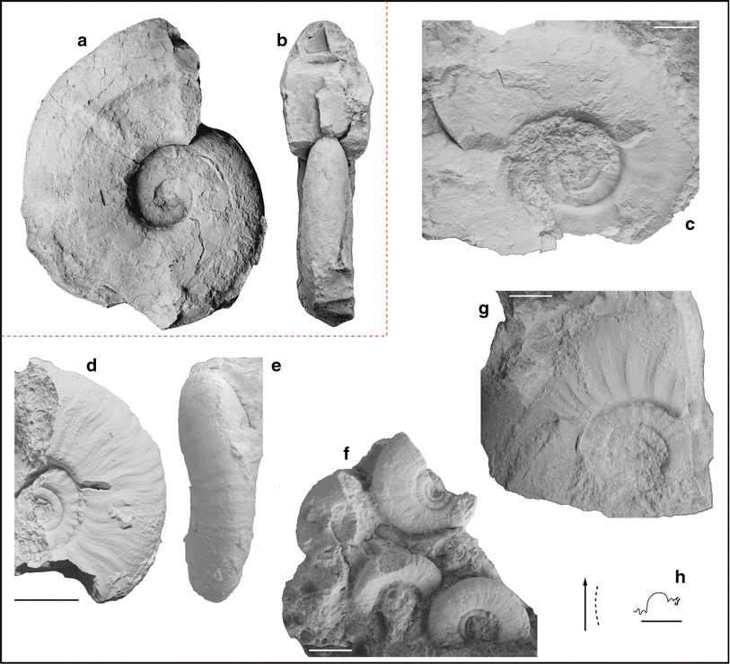 Fig. 48