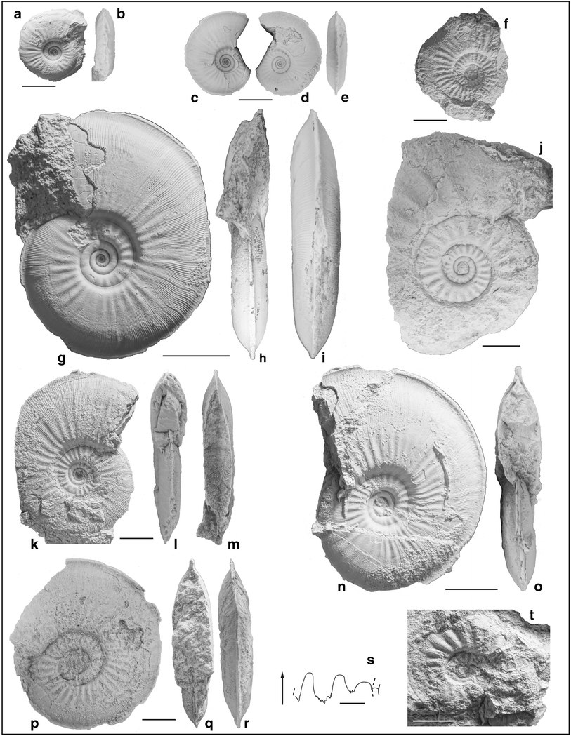 Fig. 49