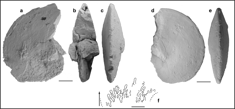 Fig. 57