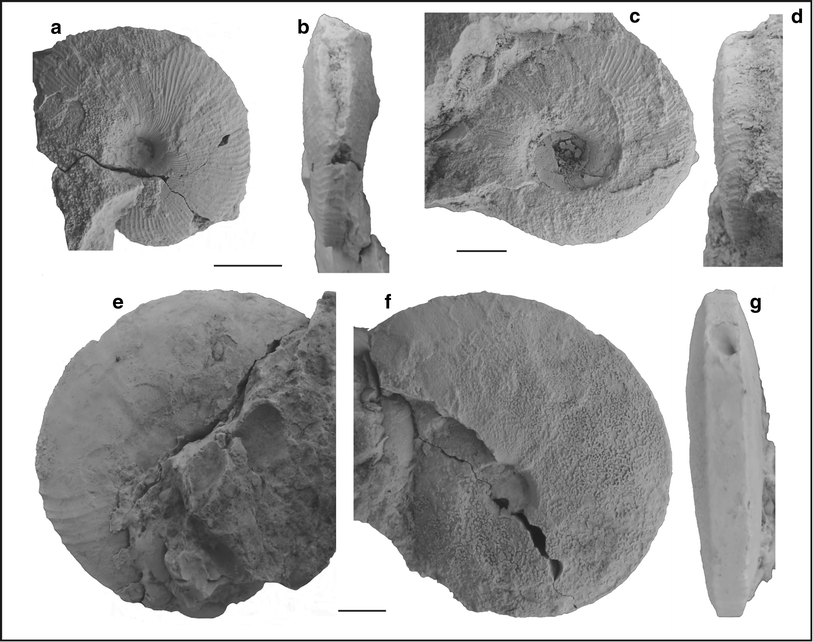 Fig. 64