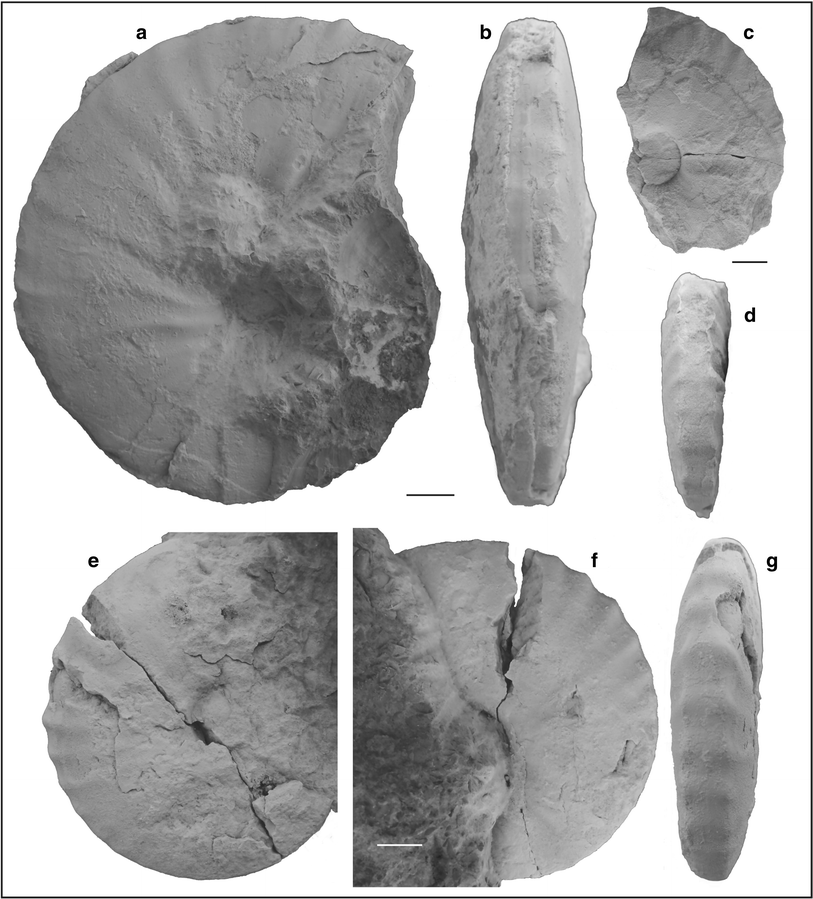 Fig. 65