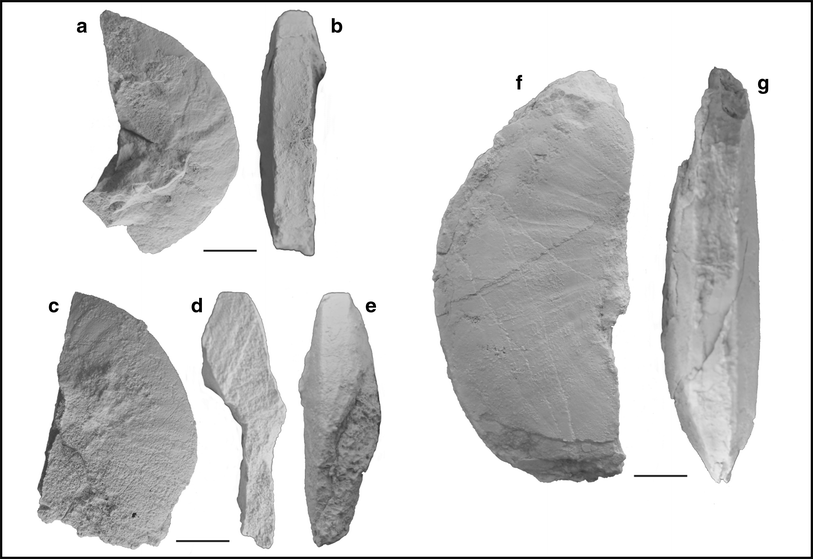 Fig. 66