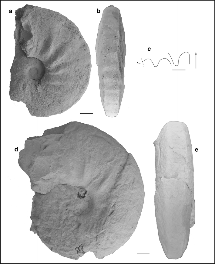 Fig. 67