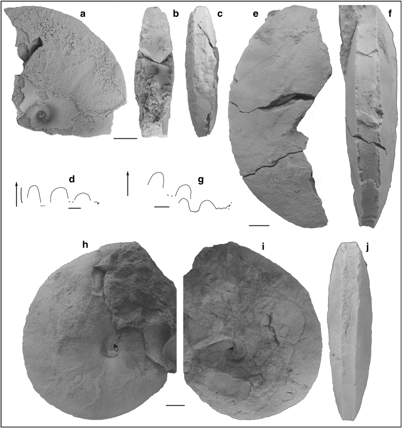 Fig. 68