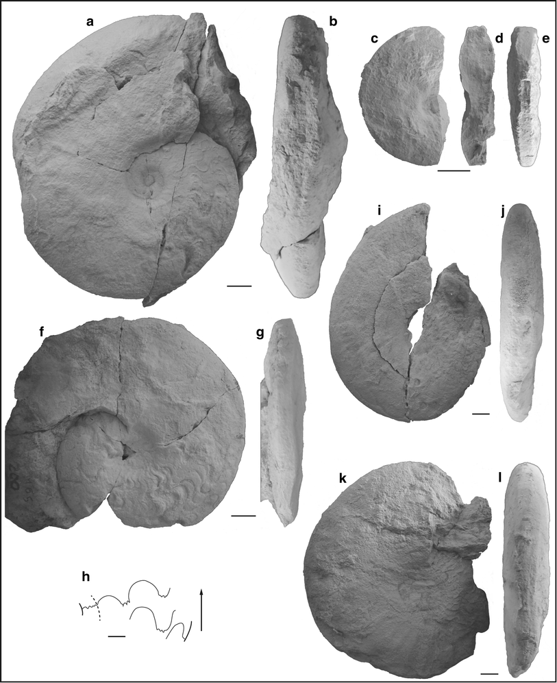 Fig. 71