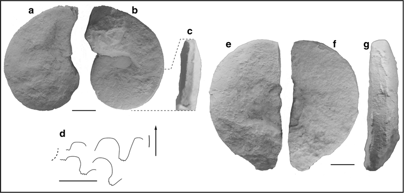 Fig. 73