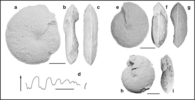 Fig. 74