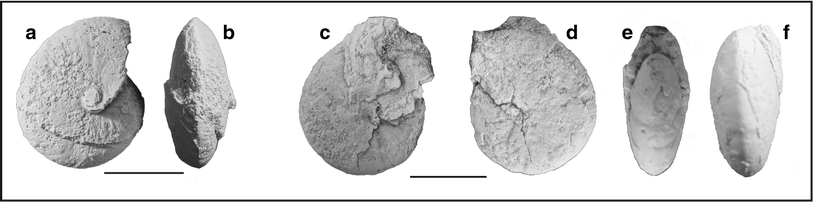 Fig. 75