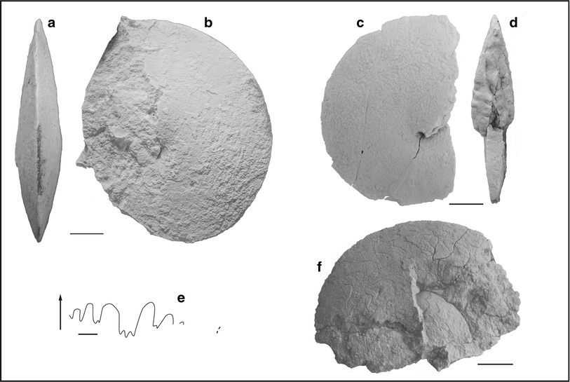 Fig. 77