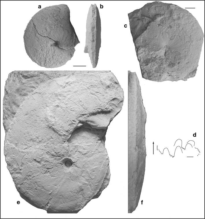 Fig. 79