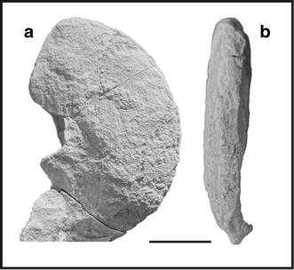 Fig. 80