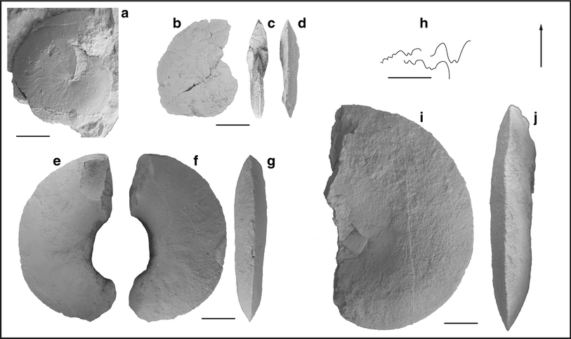 Fig. 81