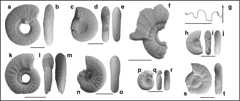 Fig. 83