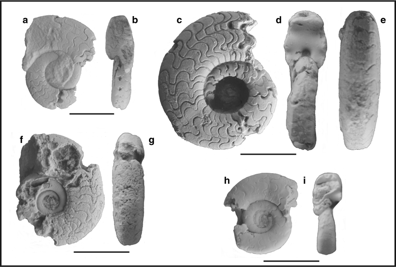 Fig. 84