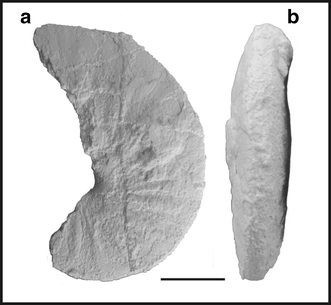 Fig. 85