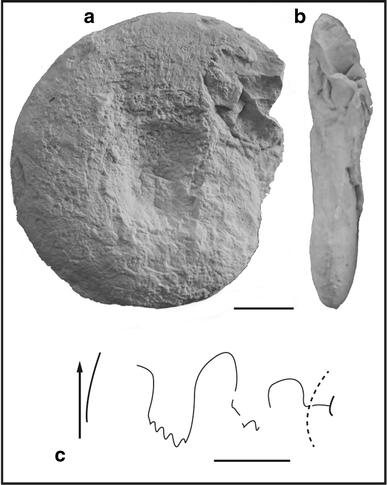 Fig. 86