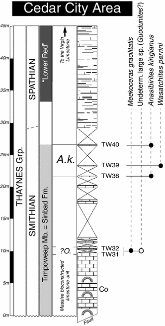 Fig. 8