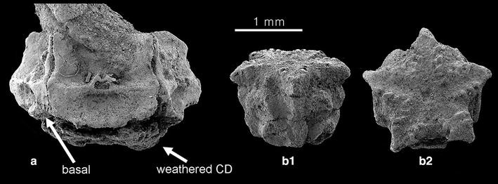 Fig. 2