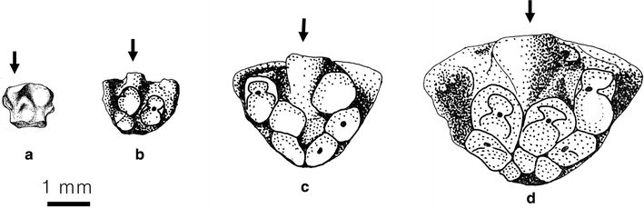 Fig. 3