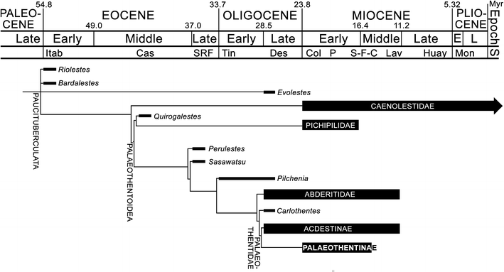 Fig. 1